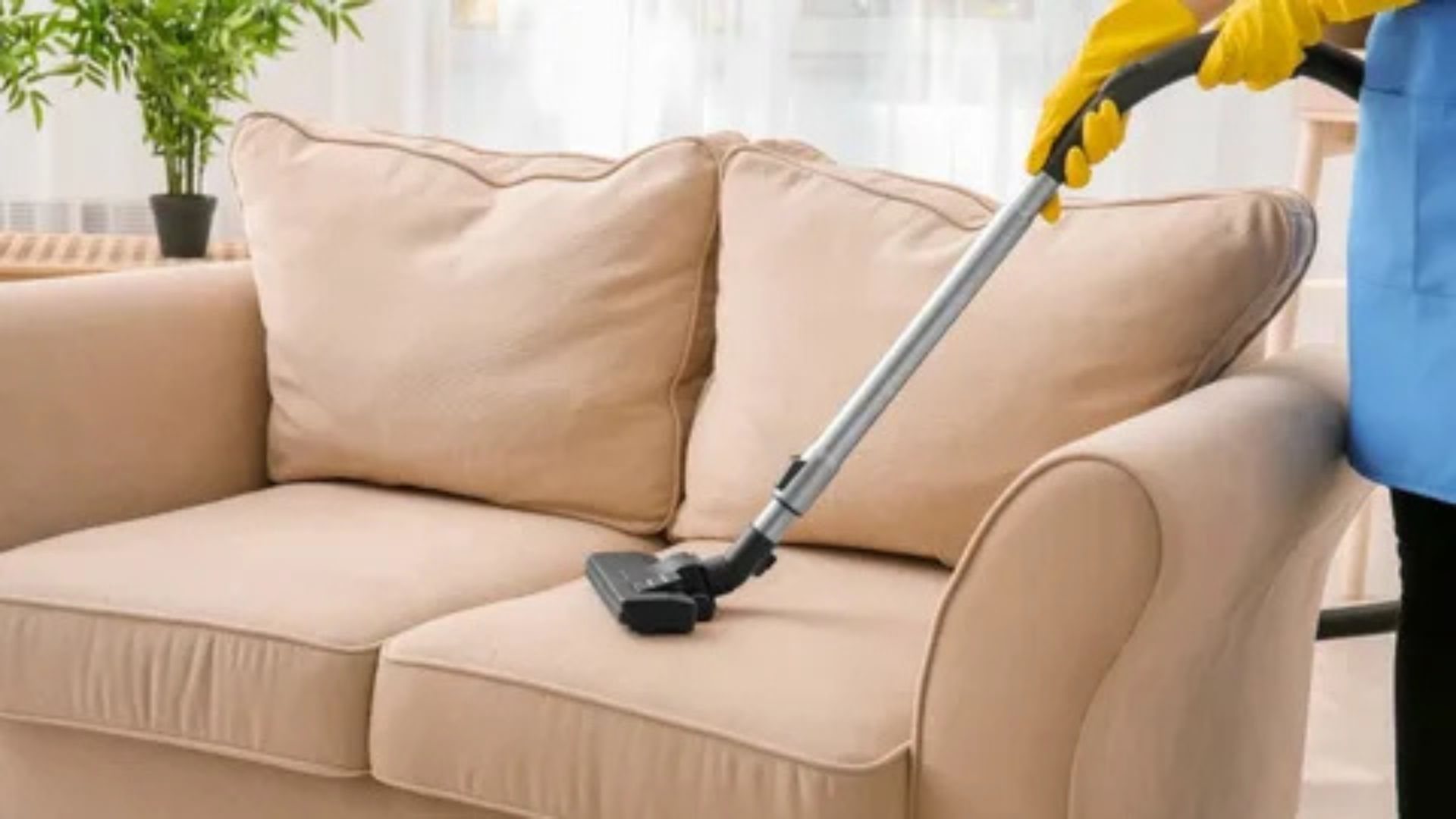 Our Upholstery Cleaning Services in Palo Alto