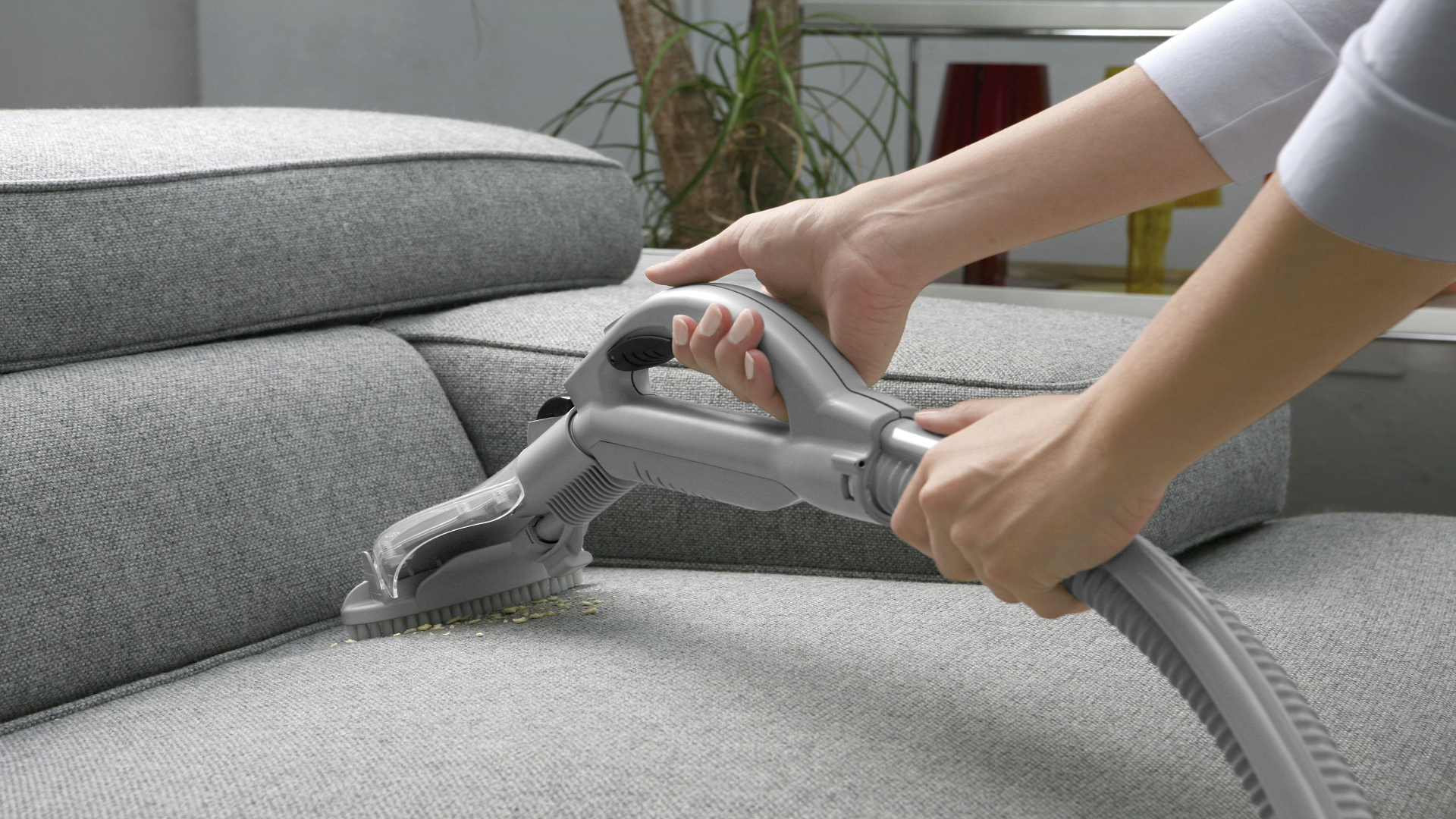 Upholstery Cleaning Matters in milpitas
